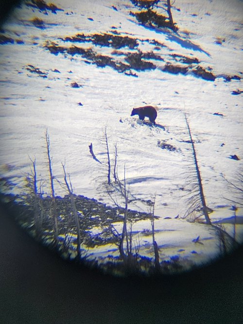 1000008483.jpg 1000008483.jpg