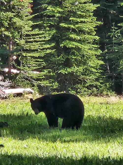 1000005575.jpg 1000005575.jpg