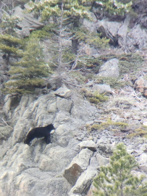 1000005089.jpg 1000005089.jpg