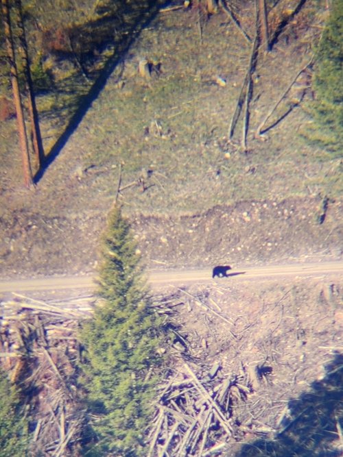 1000005222.jpg 1000005222.jpg