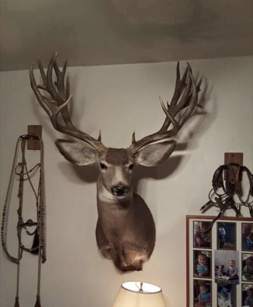 IMG_9309.jpeg IMG_9309.jpeg