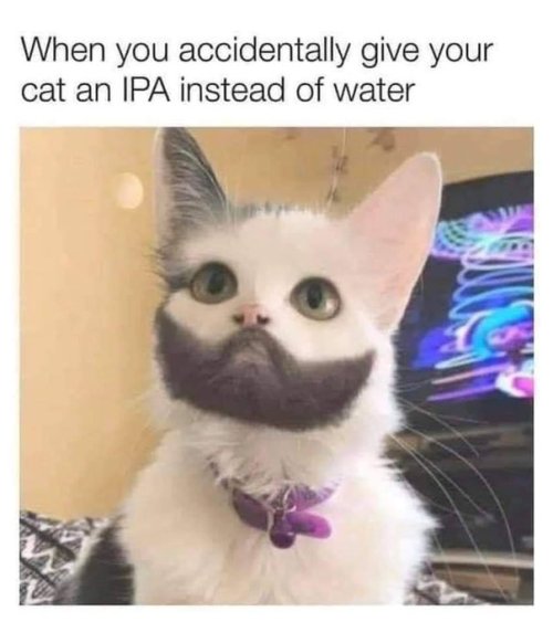 GywWnBdbcAASL1H.jpeg