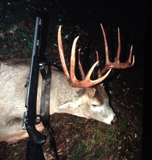 IMG_7179.jpeg IMG_7179.jpeg