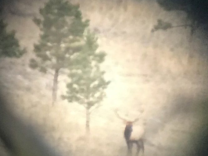 IMG_0086.jpeg