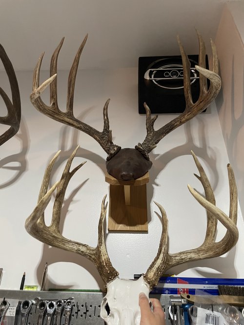 IMG_7648.jpeg IMG_7648.jpeg