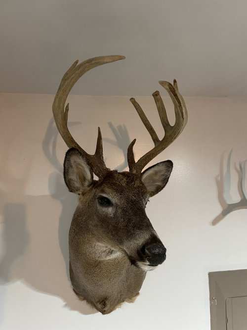 IMG_7652.jpeg IMG_7652.jpeg