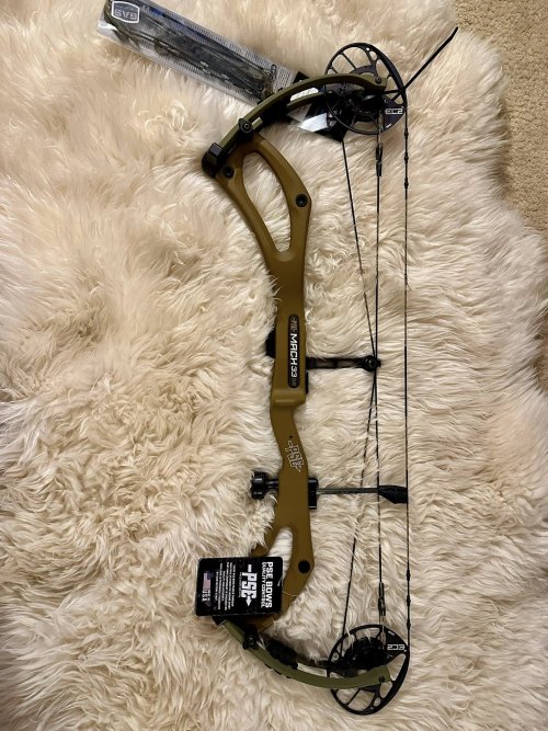 Bow 1.jpg
