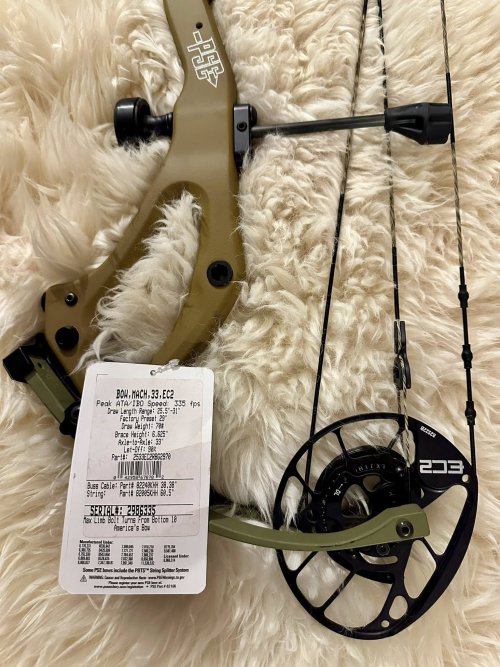 Bow 3.jpg