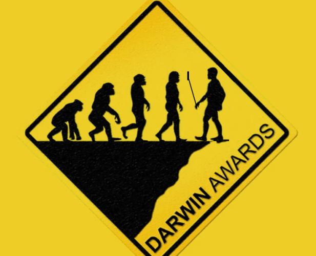 1755788049009.png