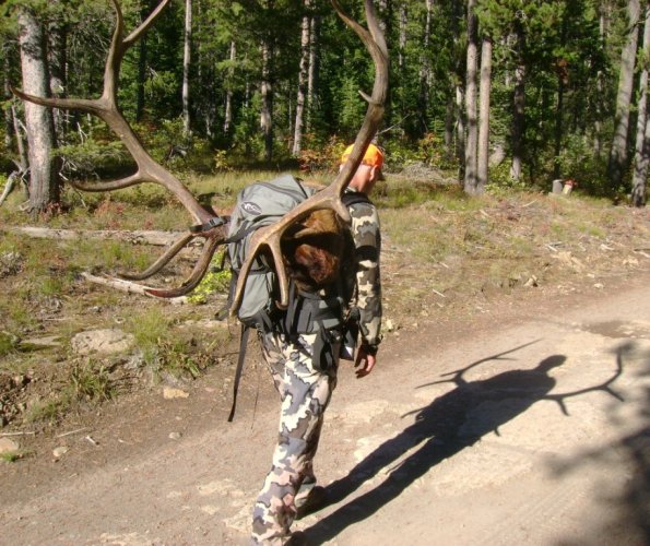 packout_shadow.jpg packout_shadow.jpg