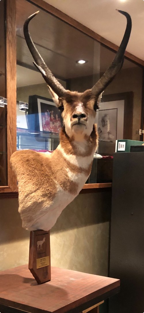 antelope mount.jpg