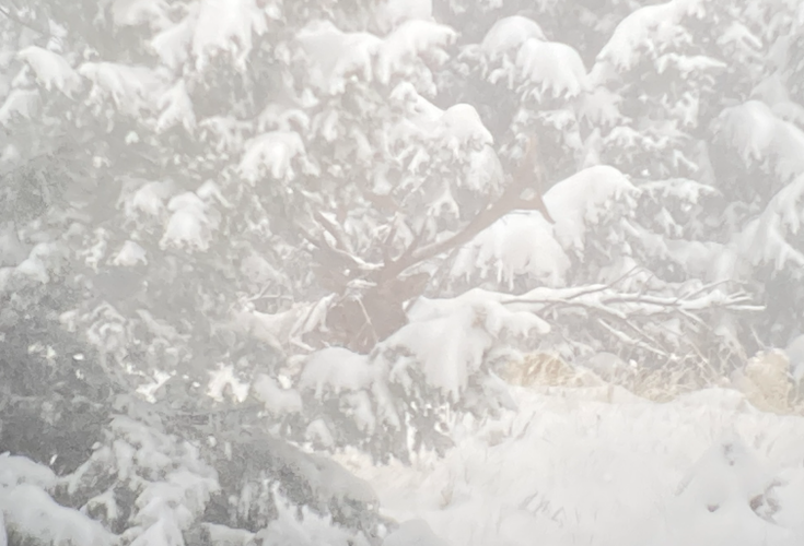 1755800093707.png 1755800093707.png