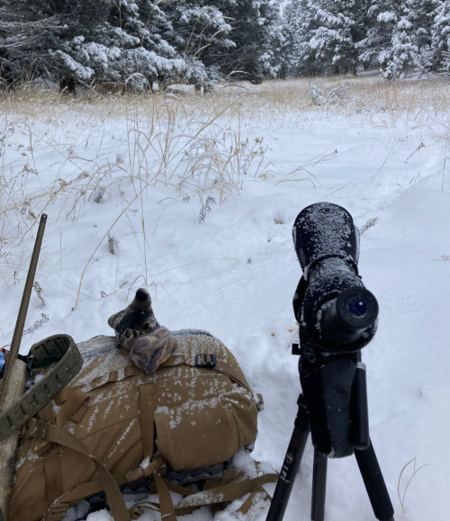 1755800216594.png 1755800216594.png