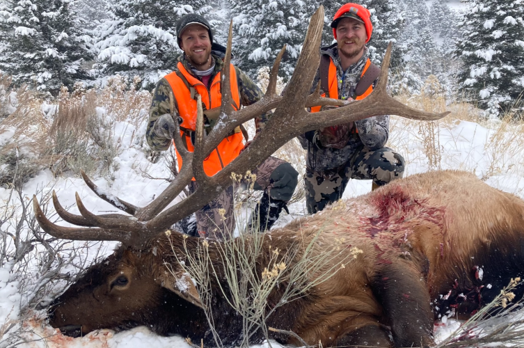 1755800343342.png 1755800343342.png