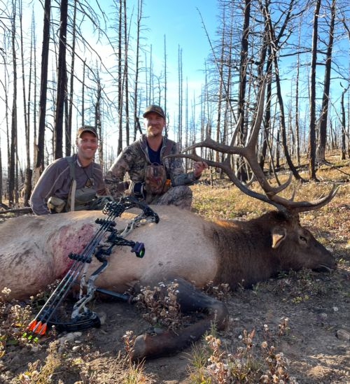 1755801129293.png 1755801129293.png