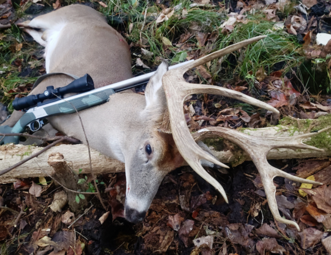 Screenshot 2025-08-21 at 15.59.23.png