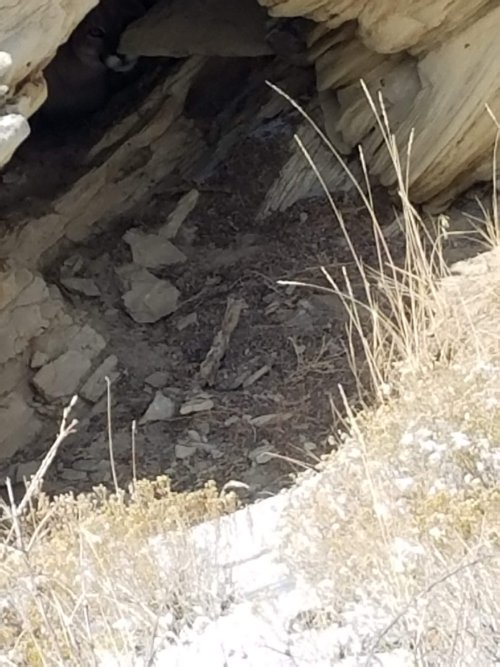 20181111_093041.jpg 20181111_093041.jpg