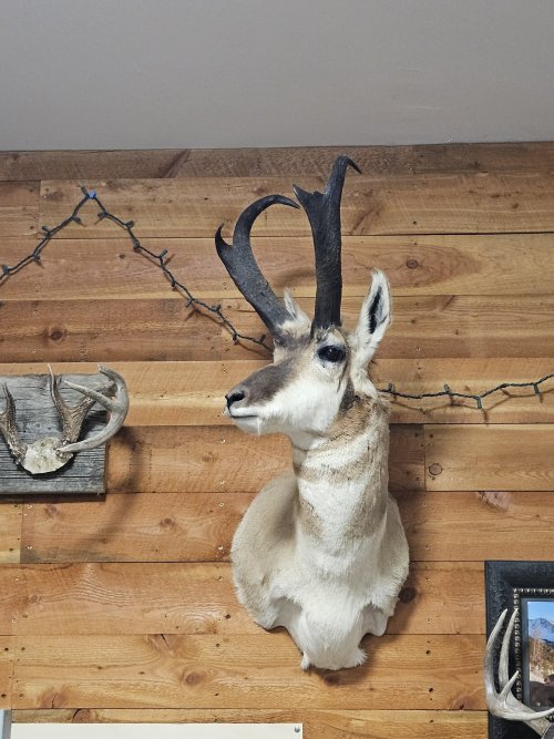 20250806_182335.jpg 20250806_182335.jpg