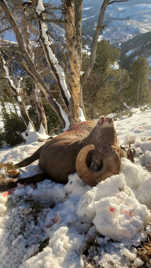 20211016_175600.jpg 20211016_175600.jpg