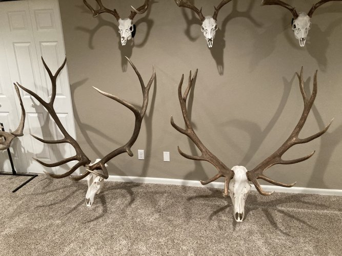 IMG_4206.jpeg IMG_4206.jpeg