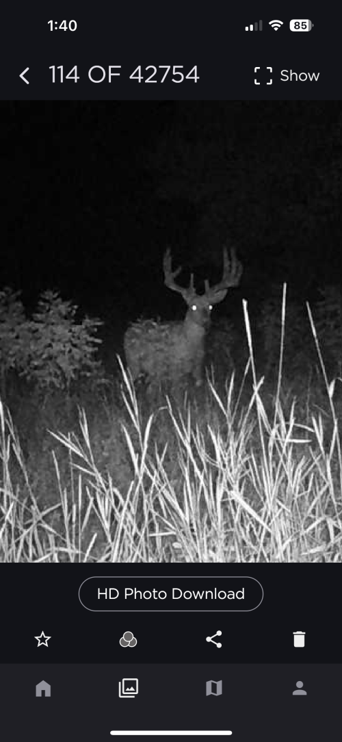 IMG_8811.PNG IMG_8811.PNG