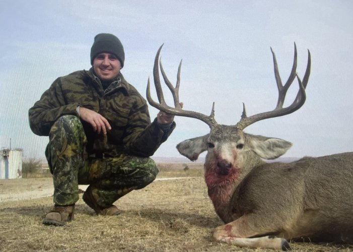 Mule Deer.jpeg