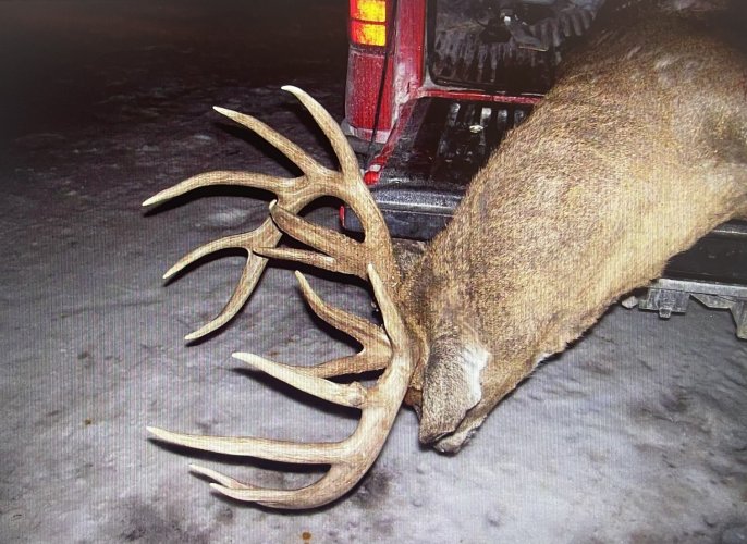 IL Buck 1.jpeg