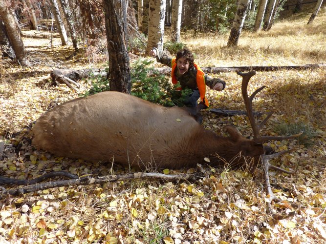 P1020101 Copy.JPG P1020101 Copy.JPG