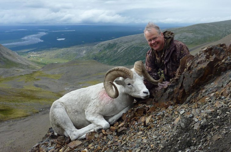 sheep 0114 Copy.jpg sheep 0114 Copy.jpg