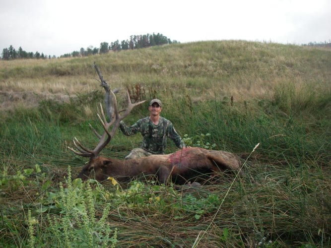 IMGP0001 (2).JPG IMGP0001 (2).JPG