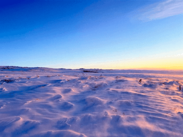 IMG_0826.GIF IMG_0826.GIF
