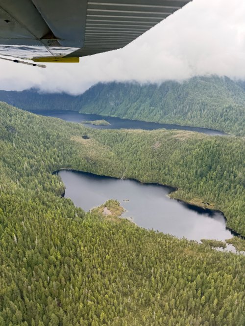 IMG_9427.jpeg IMG_9427.jpeg