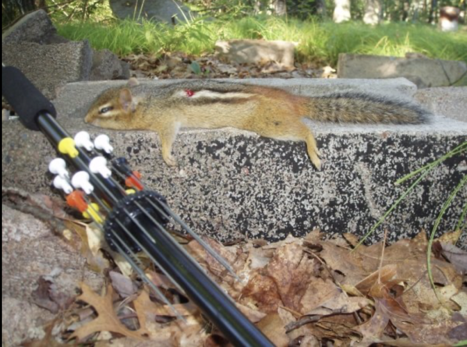 Screen Shot 2025-08-22 at 1.54.47 PM.png