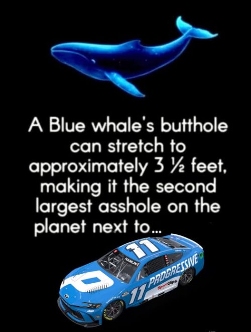 HAMLIN.jpg