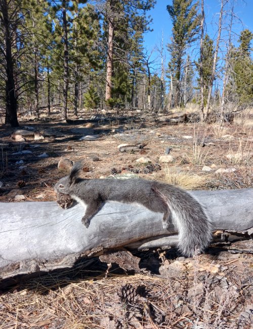 IMG_9193.jpeg IMG_9193.jpeg