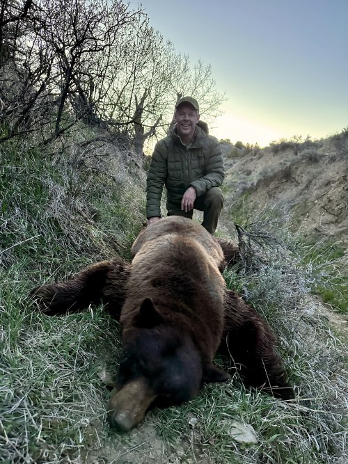 IMG_0890.jpeg IMG_0890.jpeg