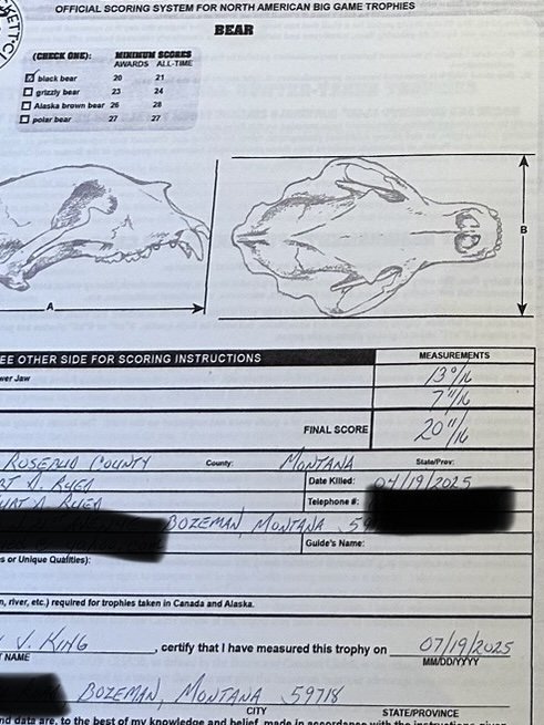 IMG_2235.jpeg IMG_2235.jpeg