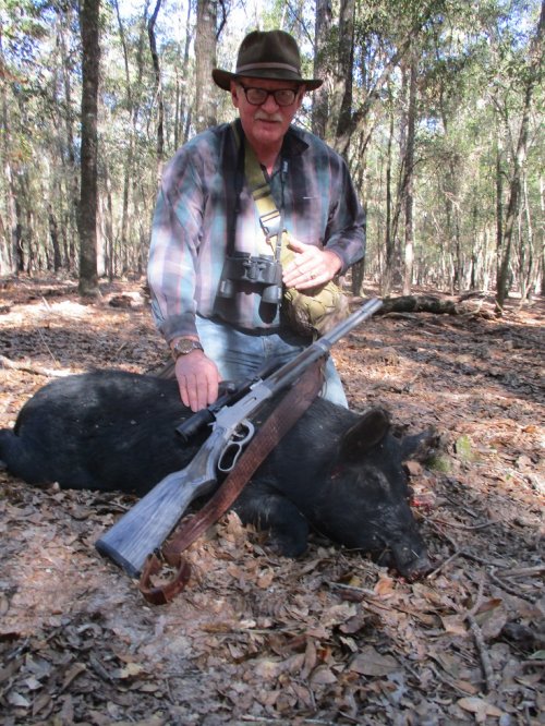 hog 3.JPG