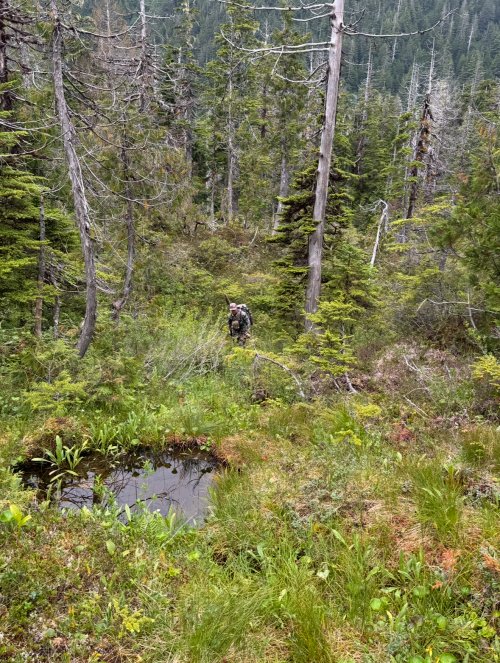 IMG_9429.jpeg IMG_9429.jpeg