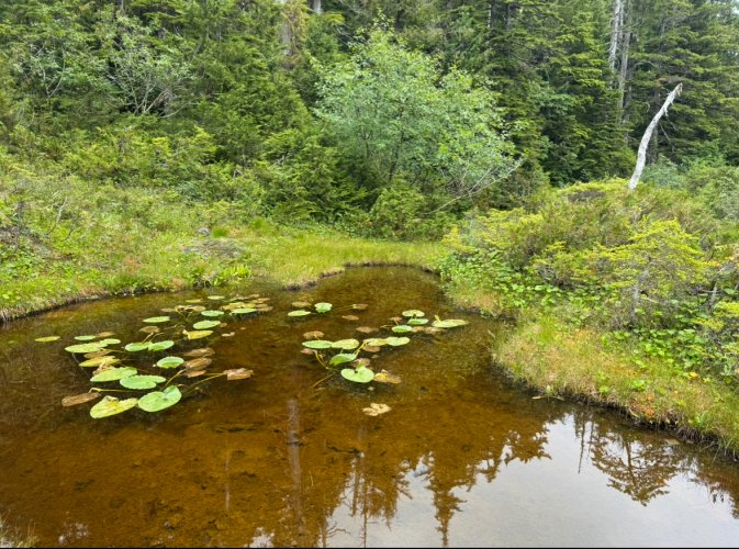 IMG_9475.jpeg IMG_9475.jpeg