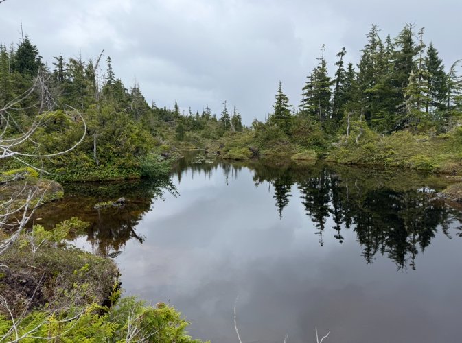 IMG_9476.jpeg IMG_9476.jpeg