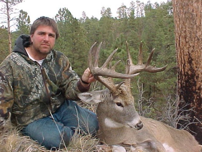 horns_trees.JPG horns_trees.JPG