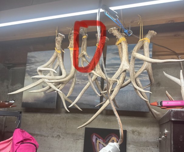 IMG_9478.jpeg IMG_9478.jpeg