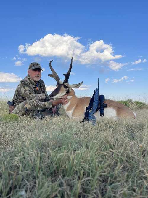 IMG_9390.jpeg IMG_9390.jpeg