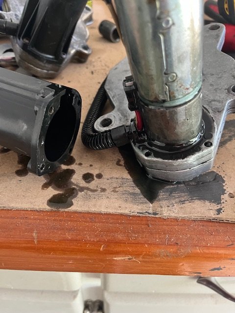 IMG_4280.jpeg IMG_4280.jpeg