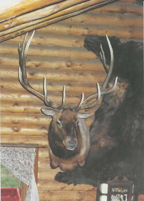 Scan_20240114 (12).jpeg