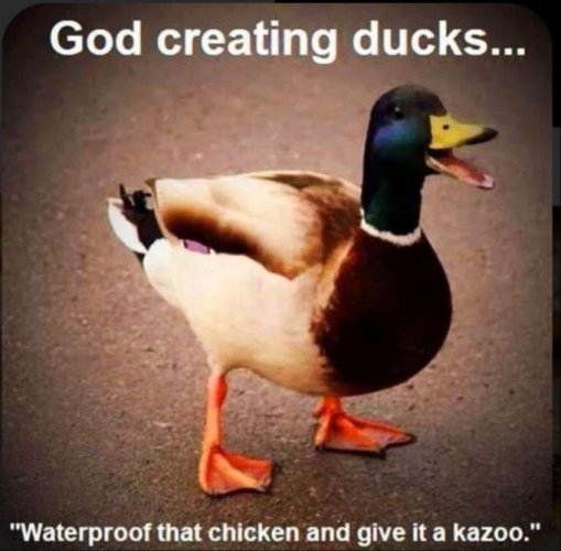 GzAhcACWQAAJ9h9.jpeg