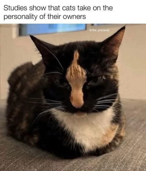 GzDs2FWaIAAPE1z.jpeg