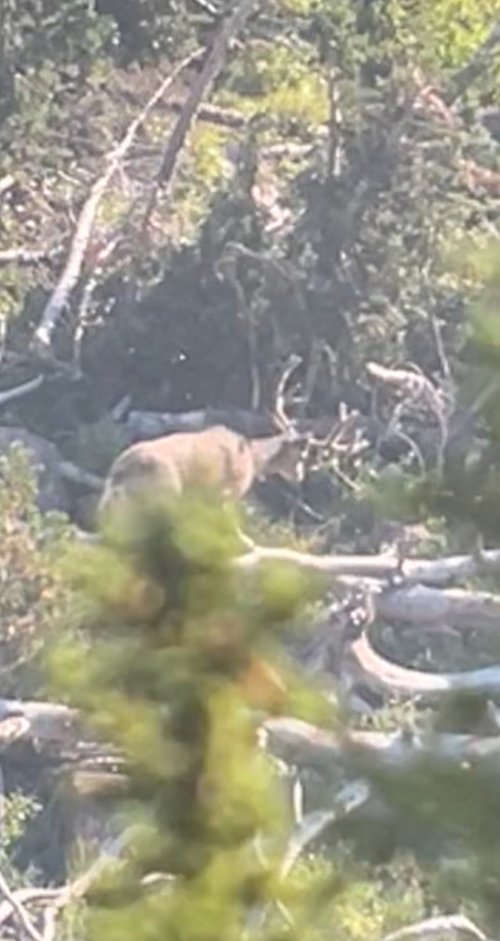 IMG_7714.jpeg IMG_7714.jpeg