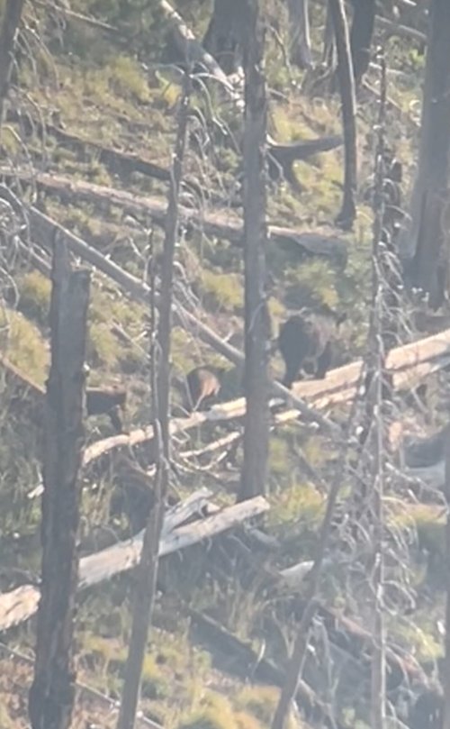 IMG_7715.jpeg IMG_7715.jpeg